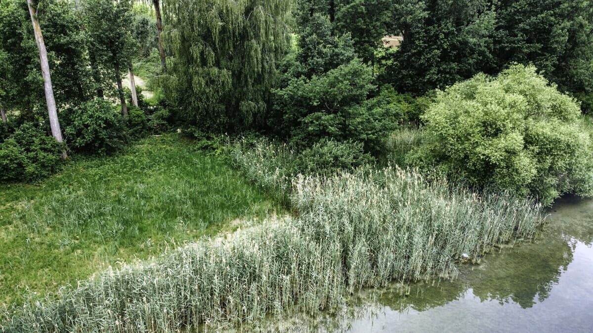 Badegrundstück