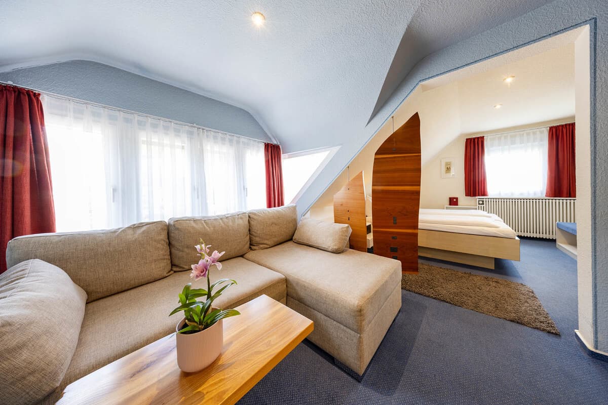 Zimmer DG 